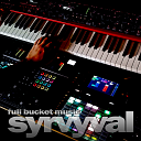 Syrvyval cover